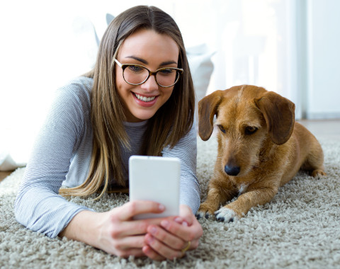 Tierkrankenversicherung Rechnung online einreichen