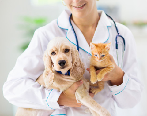 Tierarztleistungen